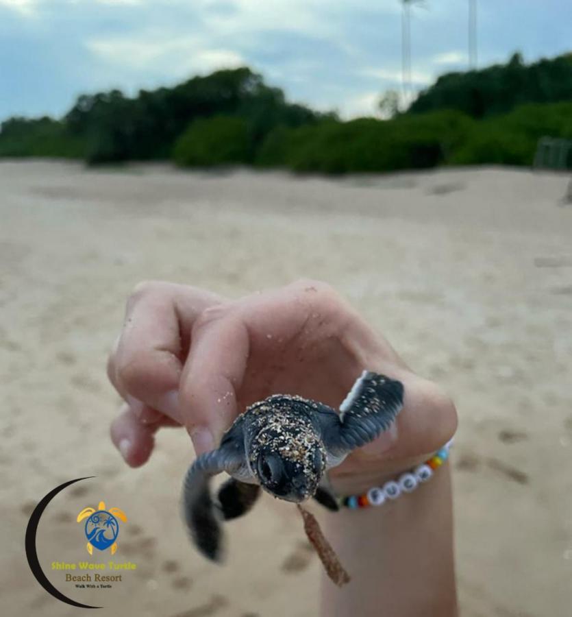 Shine Wave Turtle Beach Tangalle Exterior foto